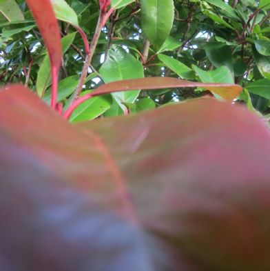 tsa_PhotoClubwk5 (46)